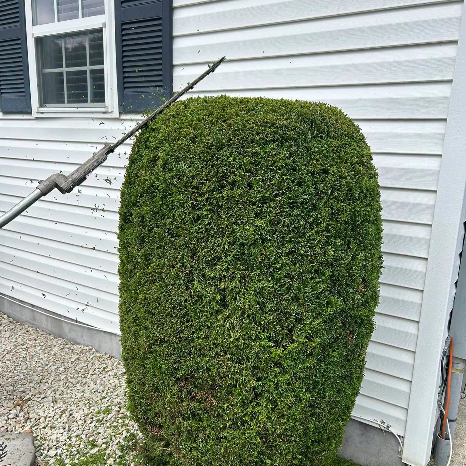 Lawn, Trees & Stumps by D&R Services