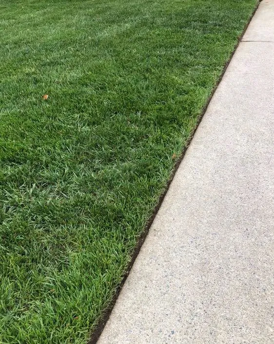 Landscape Design by D&R Services